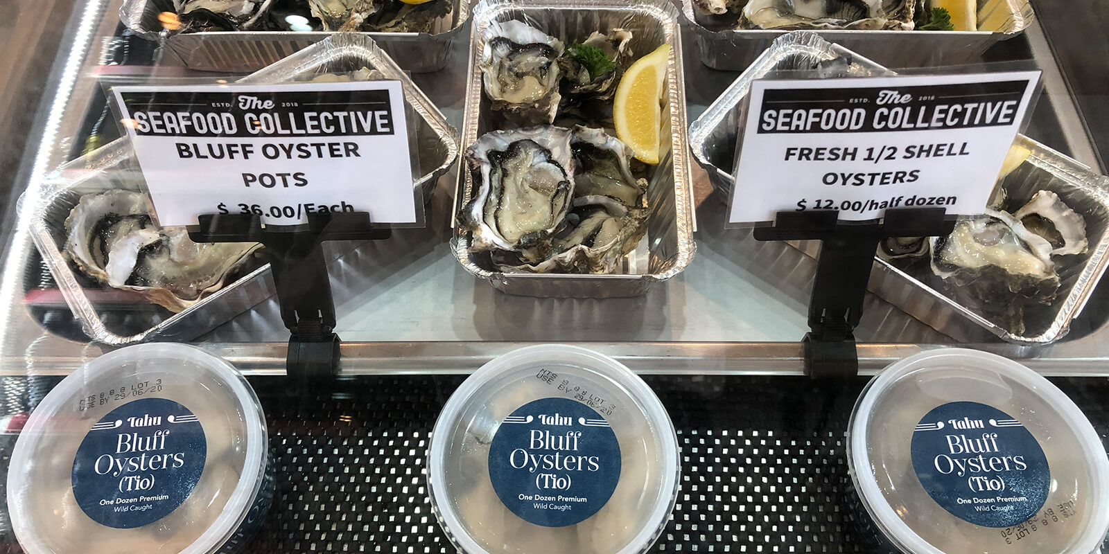 Difference between Bluff & Pacific Oysters