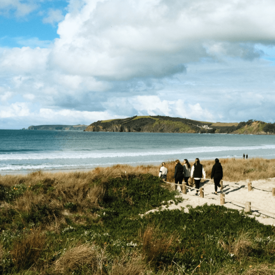 Discover New Zealand’s Top 10 Beaches: A Coastal Paradise